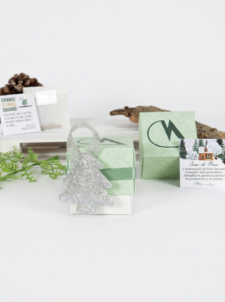 Gadget aziendale natale semi di pino italico con scatolina verde personalizzata Legambiente