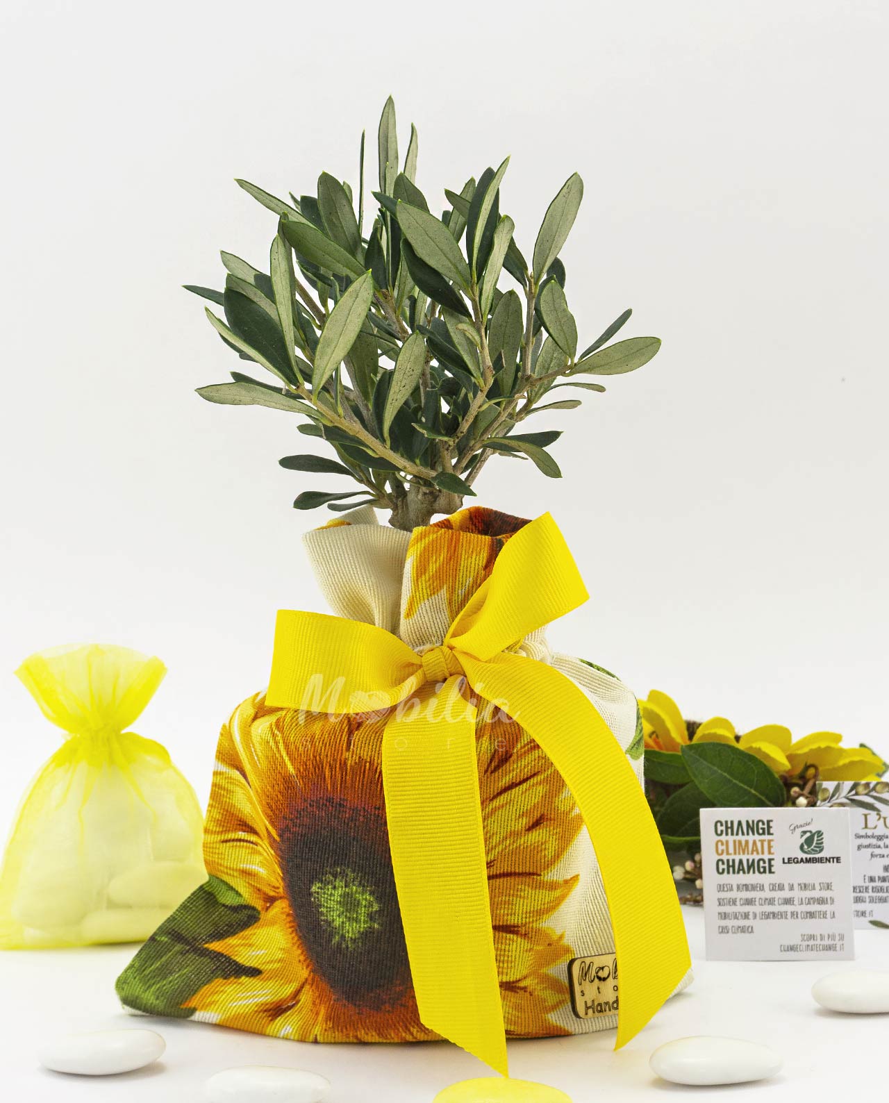 Idea regalo laurea bottiglia di rosolio siciliano