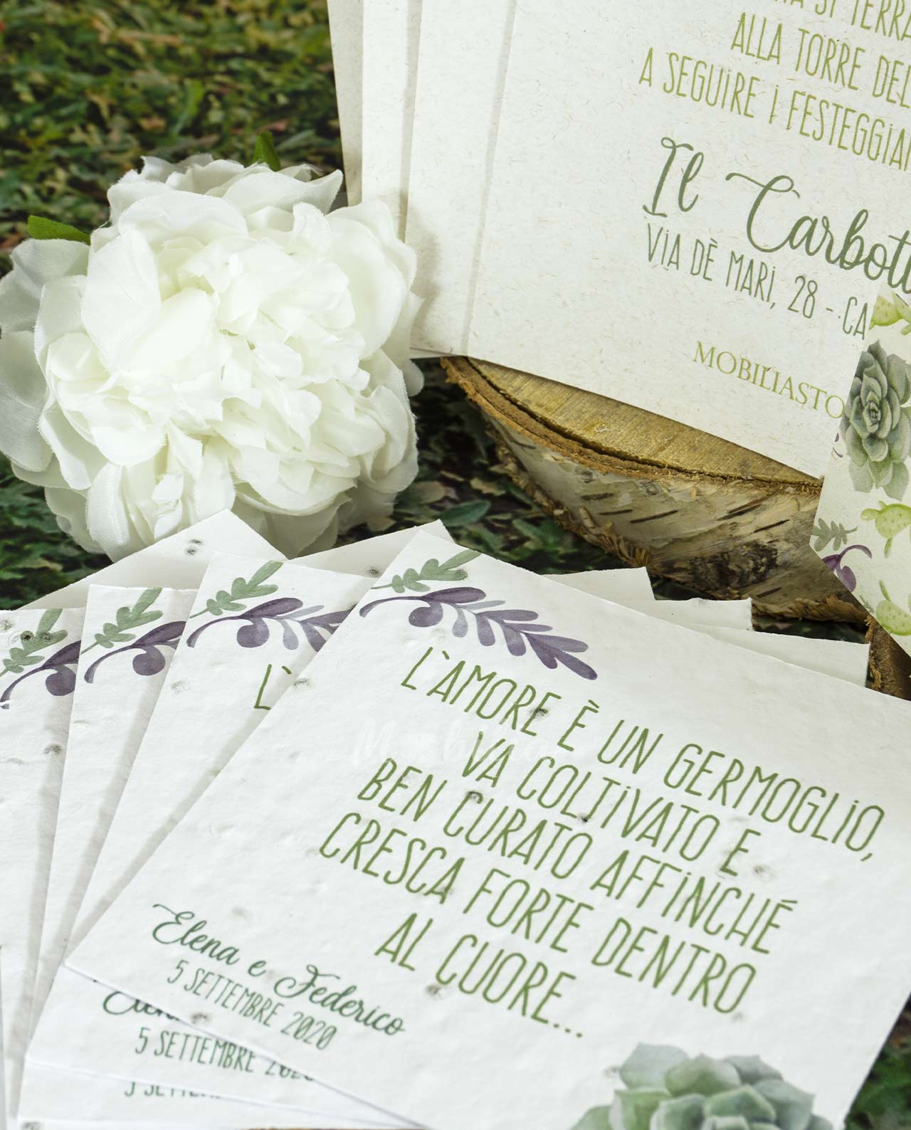 Partecipazione carta da piantare modello Cactus - immagine 3