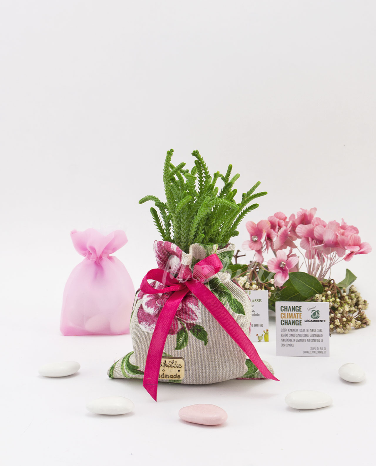 Bomboniera Legambiente pianta grassa con portavaso artistico peonie