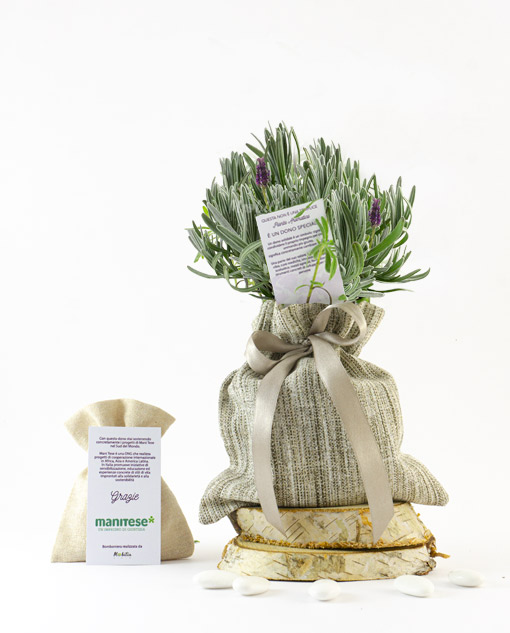 Bomboniera Mani Tese Il Rosmarino country chic