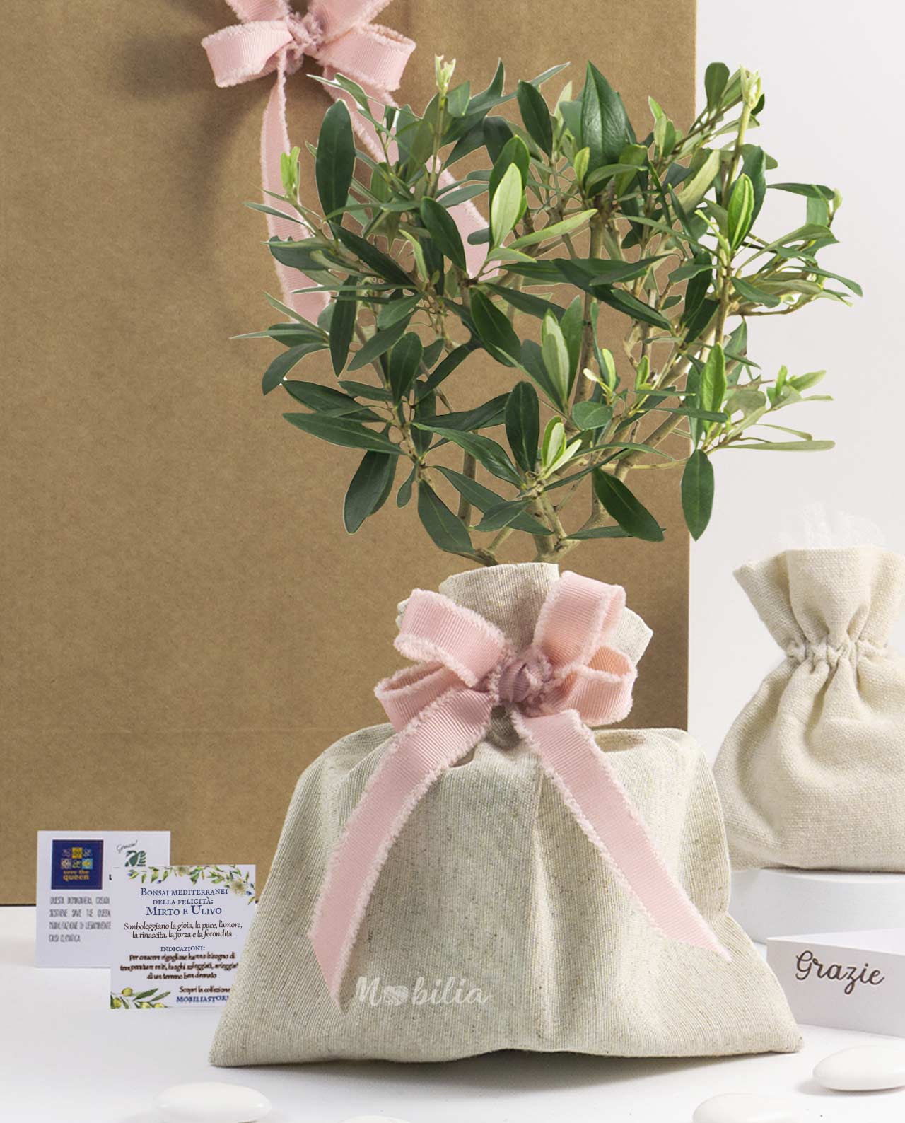 Bomboniera Legambiente piantina di ulivo D 10 cm saccoccio e fiocco rosa sfrangiato