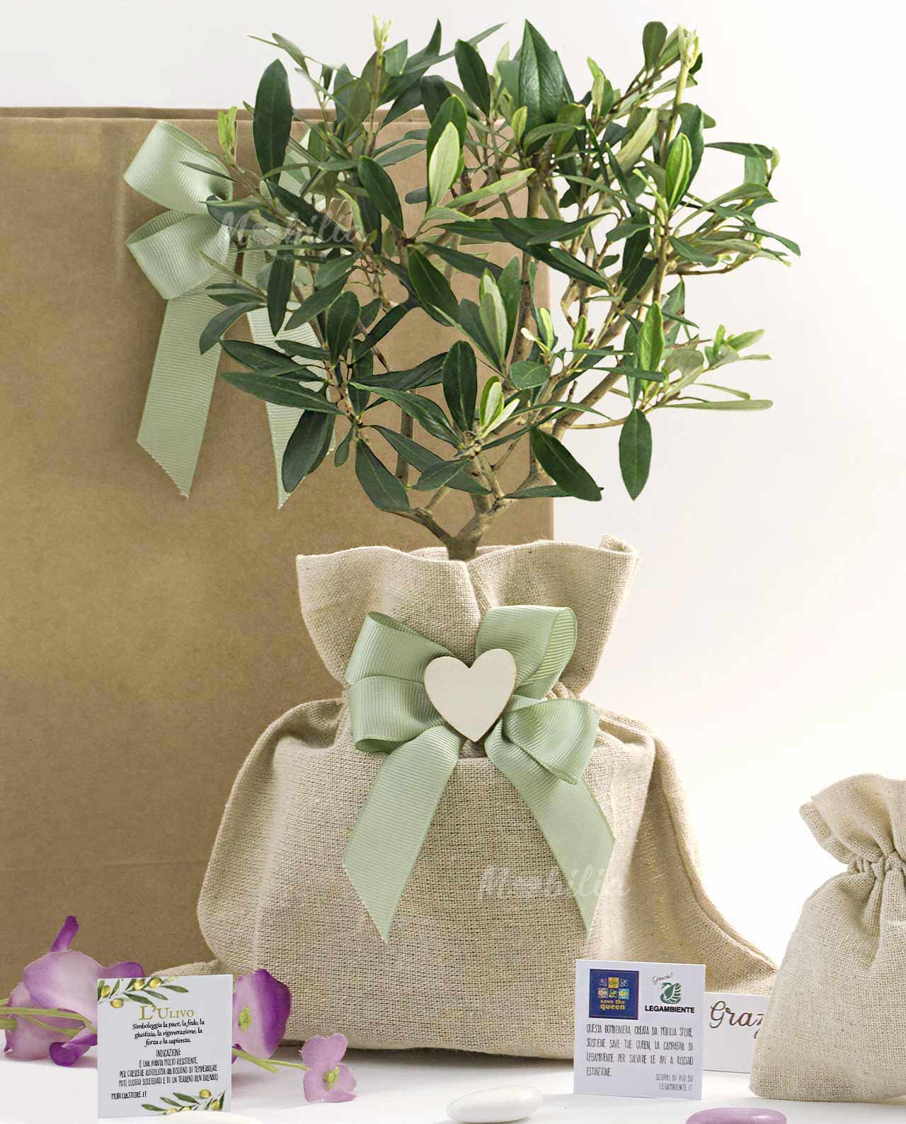 Bomboniera Legambiente piantina di Ulivo D 10 cm saccoccio fiocco verde e cuore