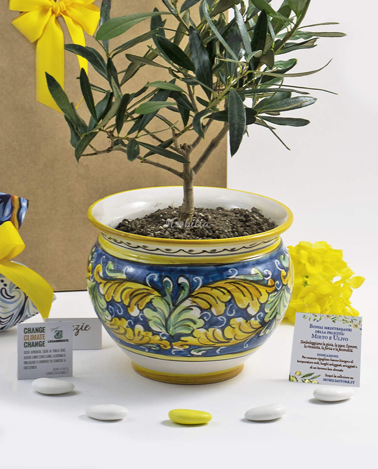 Bomboniera Legambiente piantina di ulivo D 10 cm con vaso in ceramica artigianale