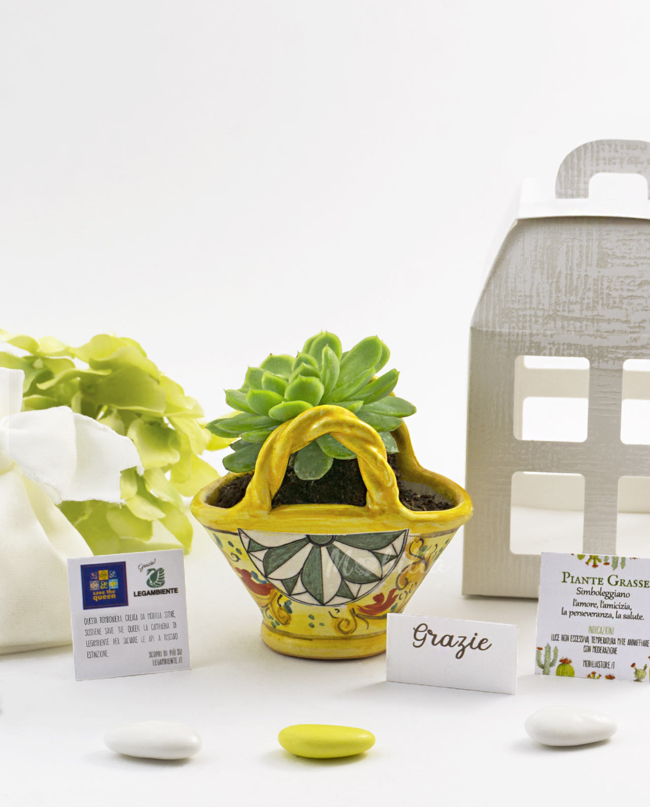 Bomboniera Legambiente pianta grassa con coffa in ceramica artigianale vari decori e lanterna