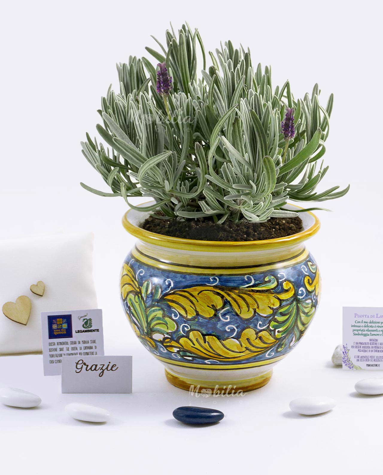 Bomboniera Legambiente Piantine Aromatiche con vaso in ceramica artigianale vari decori