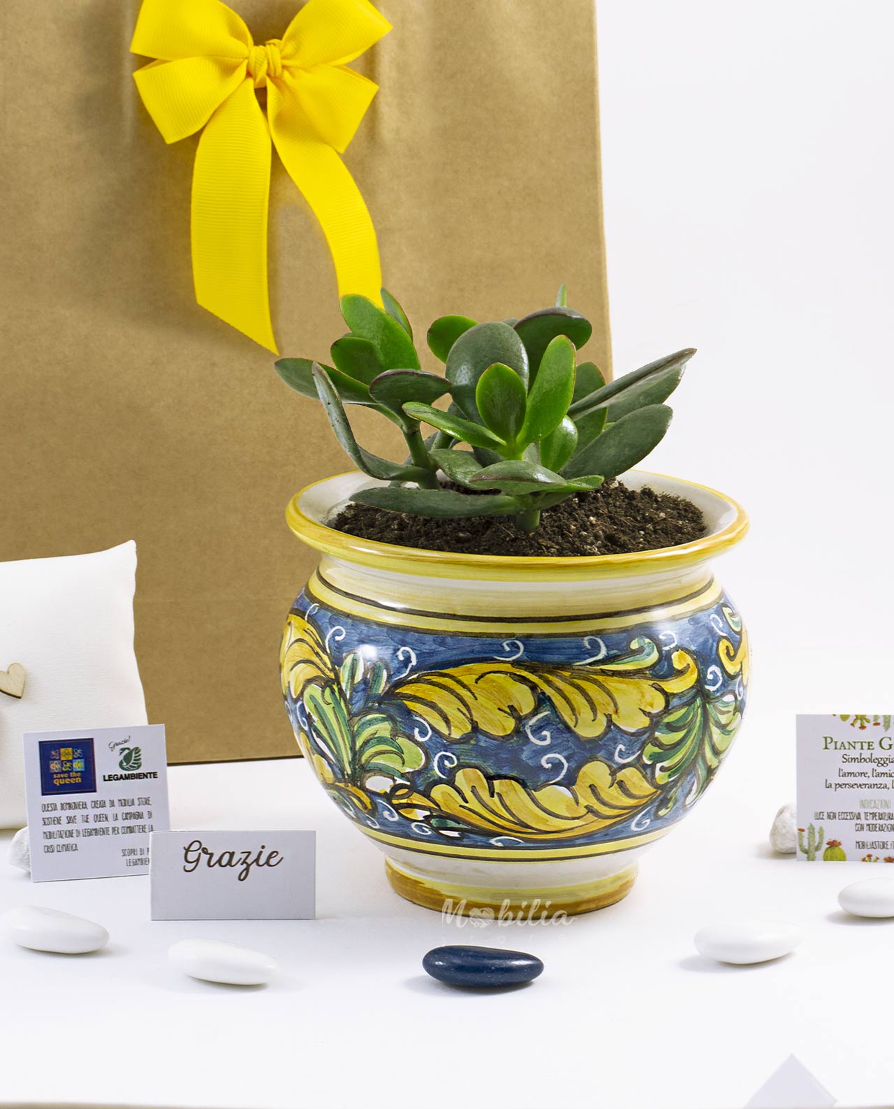 Bomboniera Legambiente pianta grassa D 10,5 cm con vaso in ceramica artigianale e bag