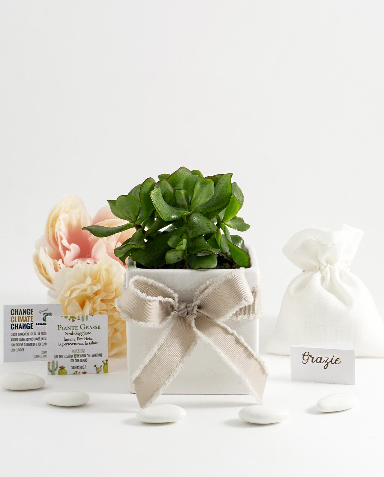Bomboniera Legambiente pianta grassa con vaso in ceramica bianca