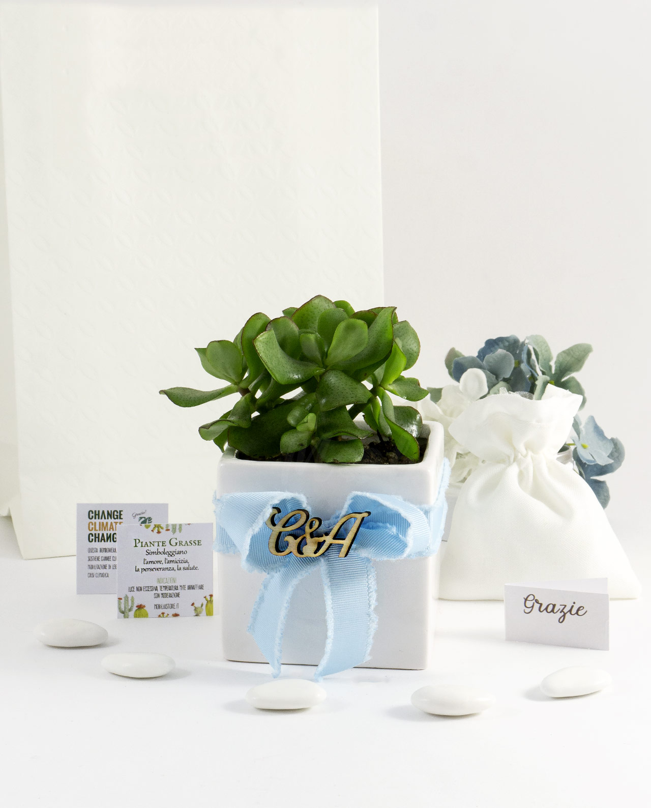 Bomboniera Legambiente piantina grassa con vaso in ceramica bianca e scritta personalizzata