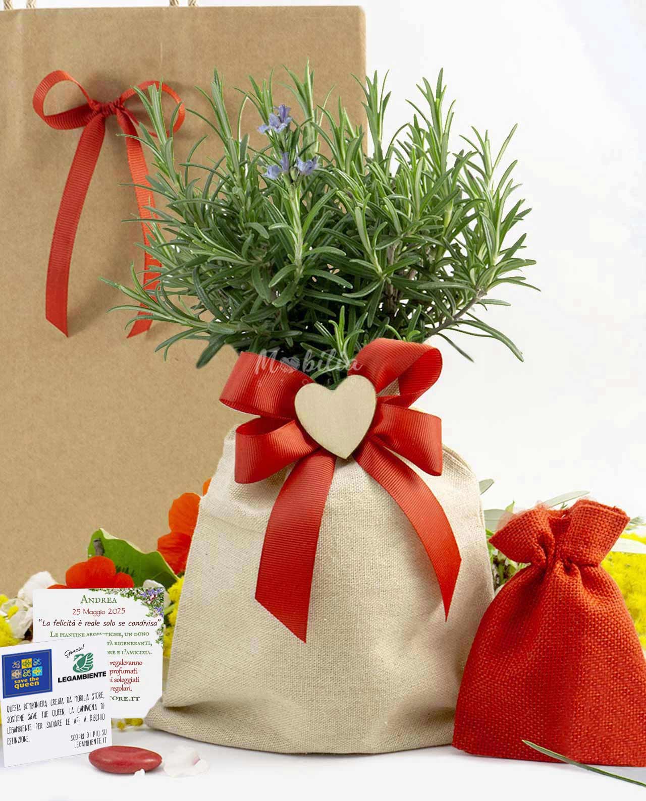 Bomboniera Legambiente piantina di rosmarino D 14 cm con saccoccio e fiocco rosso
