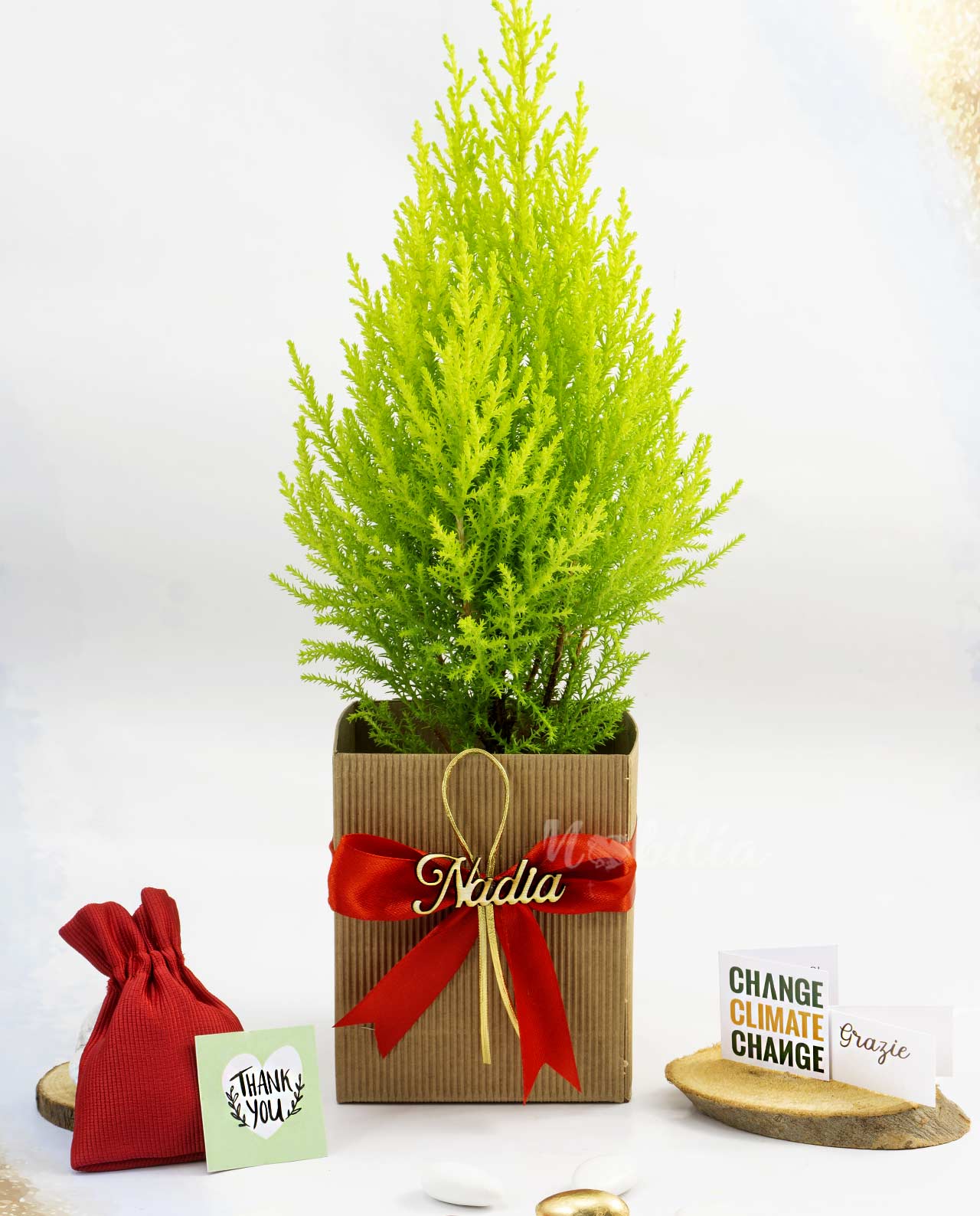 Bomboniera Legambiente Pinetto natalizio con scritta personalizzata edizione limitata
