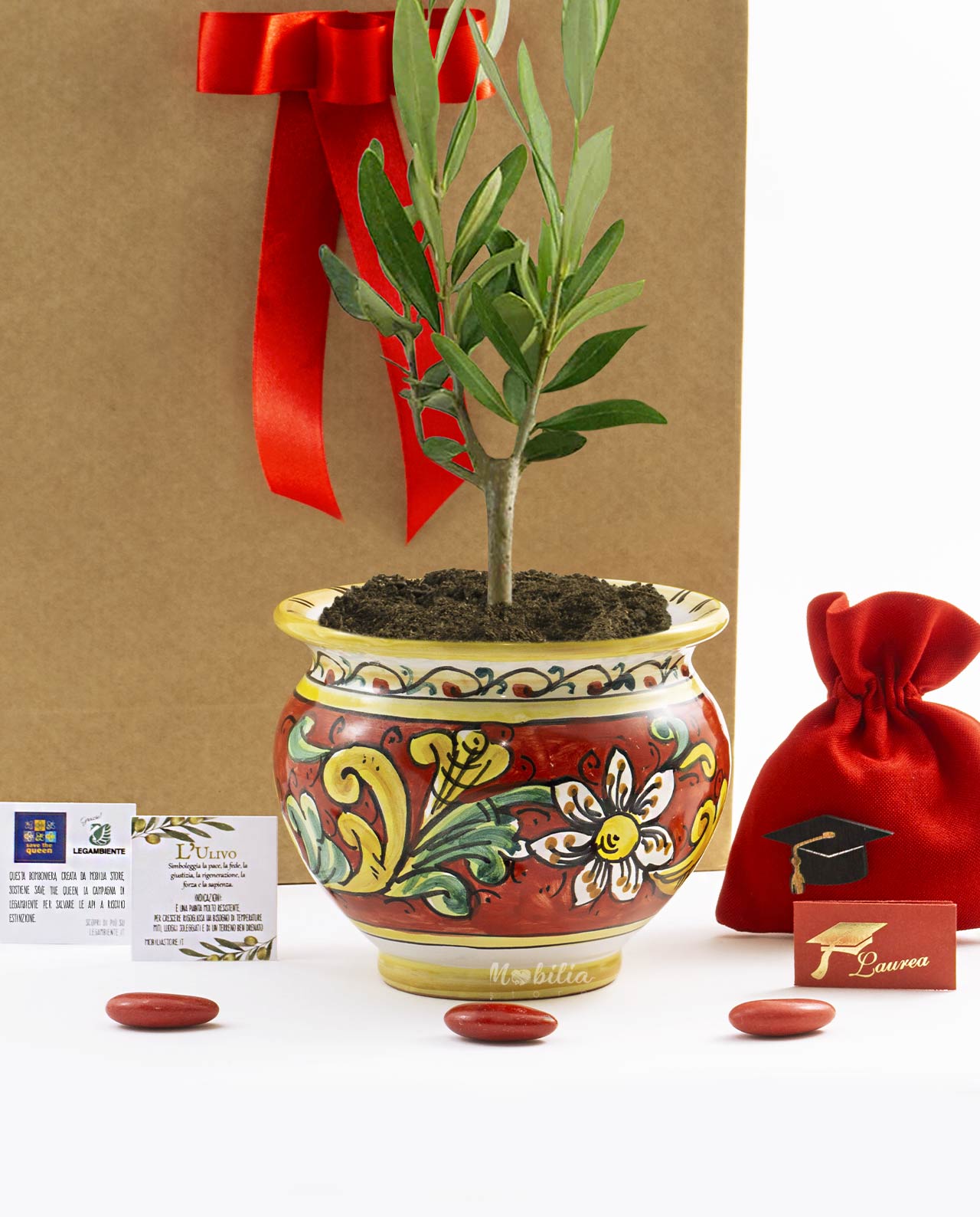 Bomboniera Legambiente piantina di Ulivo D 10 cm con vaso rosso in ceramica artigianale