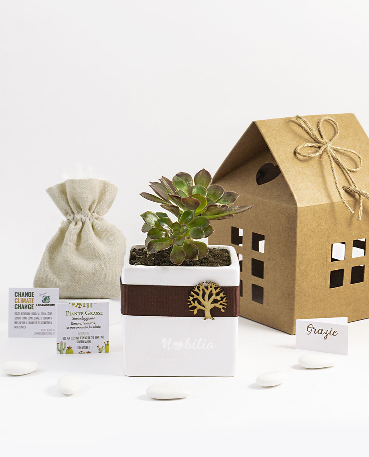 Bomboniera Legambiente pianta grassa e vaso in ceramica bianca con albero della vita