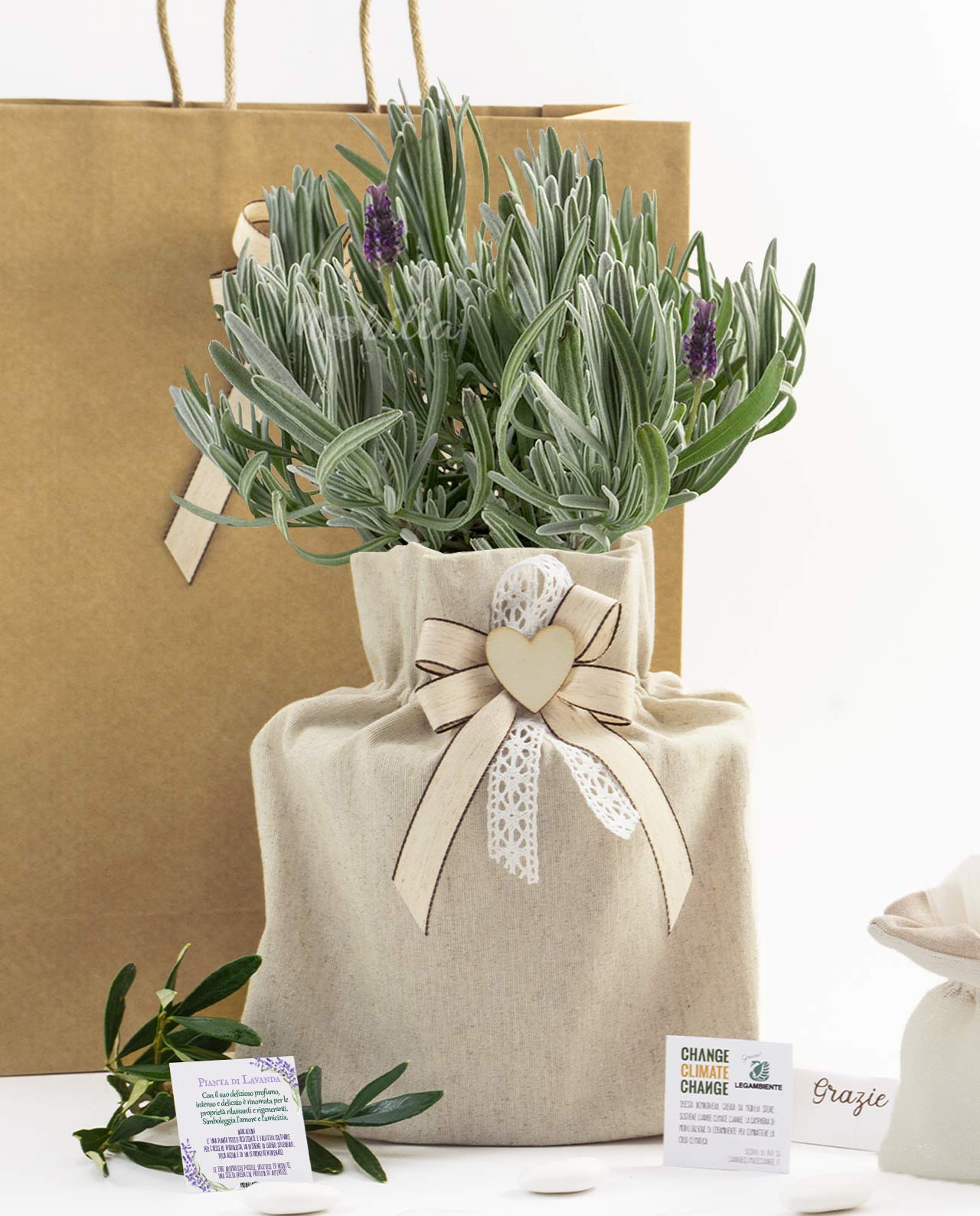 Bomboniera Legambiente piantina di rosmarino con saccoccio e fiocco shabby