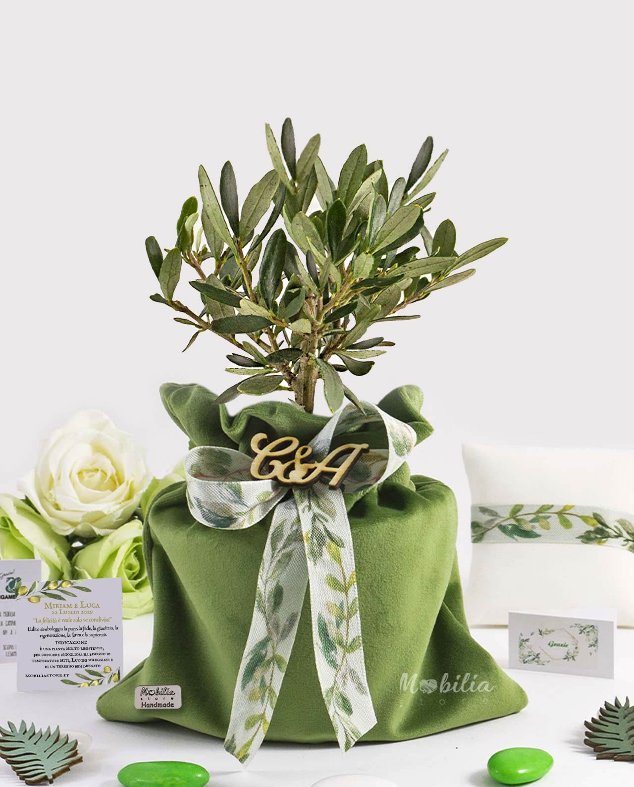 Bomboniera Legambiente piantina di ulivo D 10 cm con sacchetto maxi in velluto verde