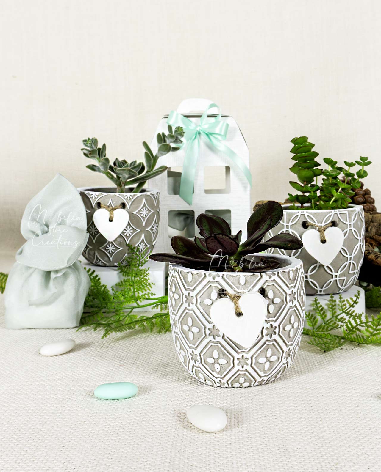 Bomboniera pianta grassa e vaso in ceramica varie opzioni