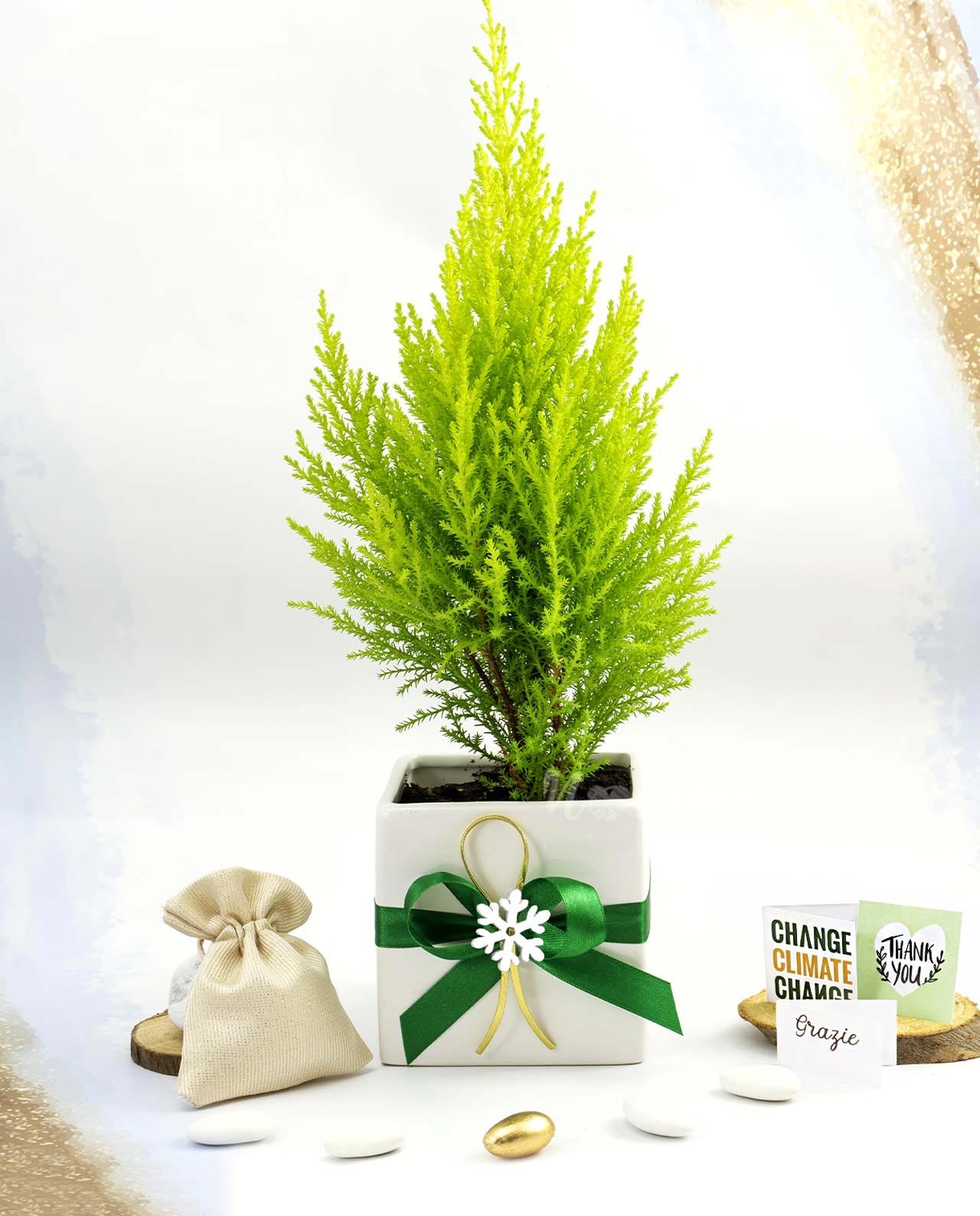 Bomboniera Legambiente Pinetto natalizio con vaso cubo e fiocco verde edizione limitata