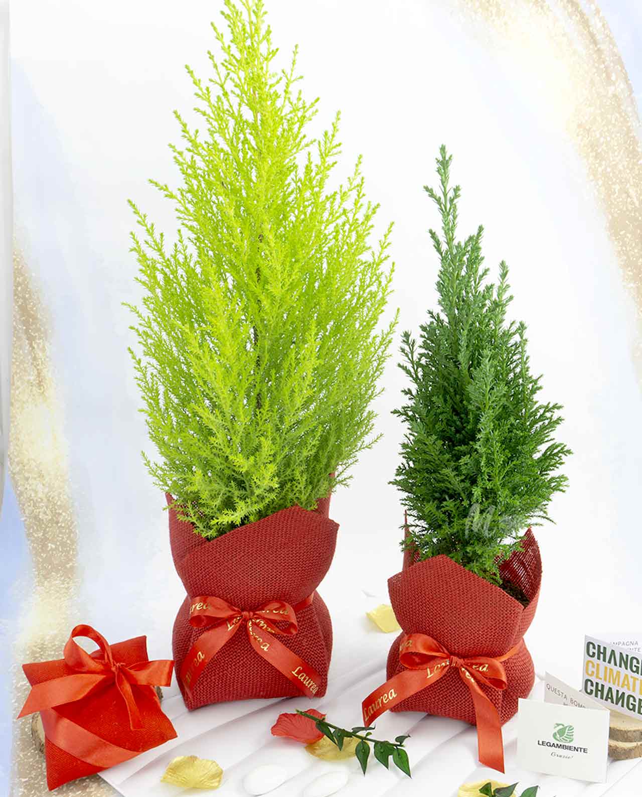 Bomboniera Legambiente Pinetto natalizio decorato con juta rossa edizione limitata