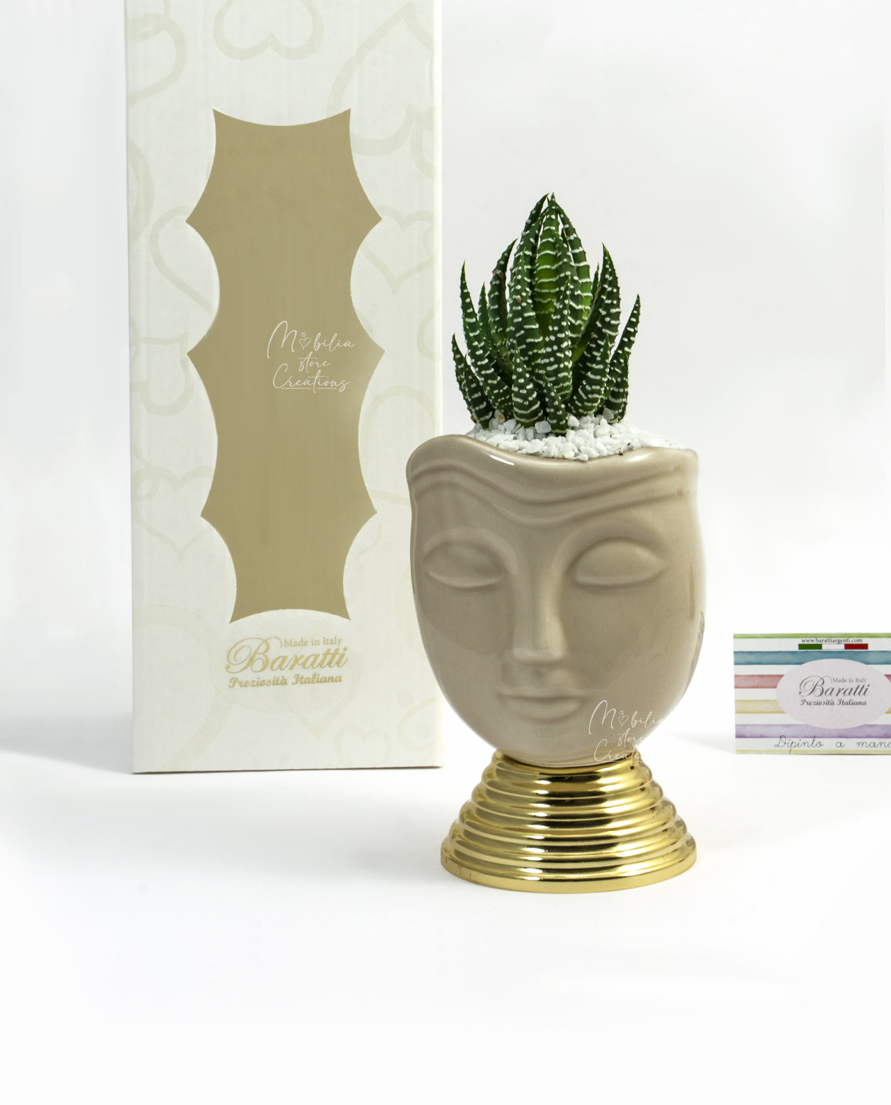 Vaso scultura viso tortora con pianta grassa