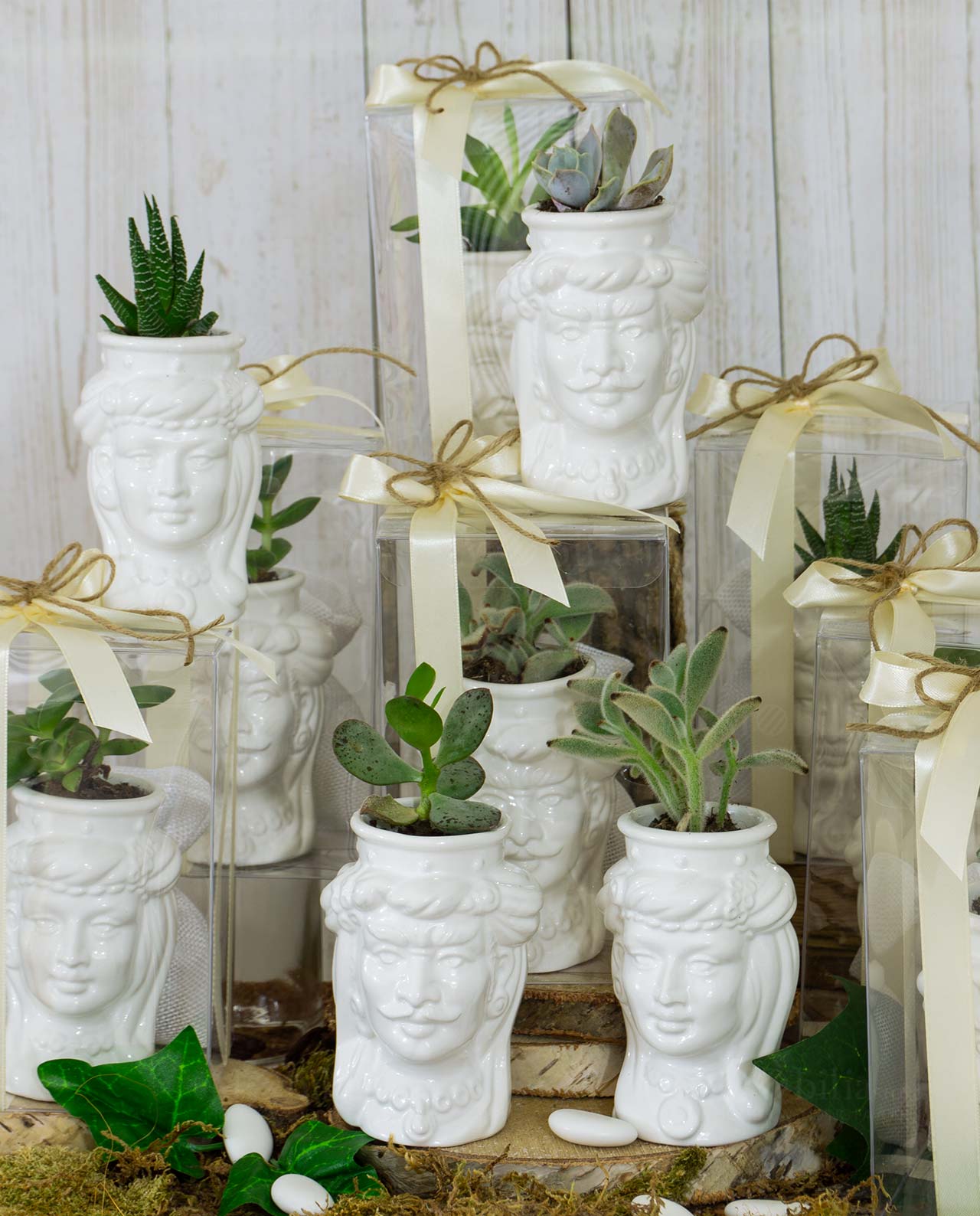 Bomboniera pianta grassa con testa di moro in ceramica artigianale siciliana bianca