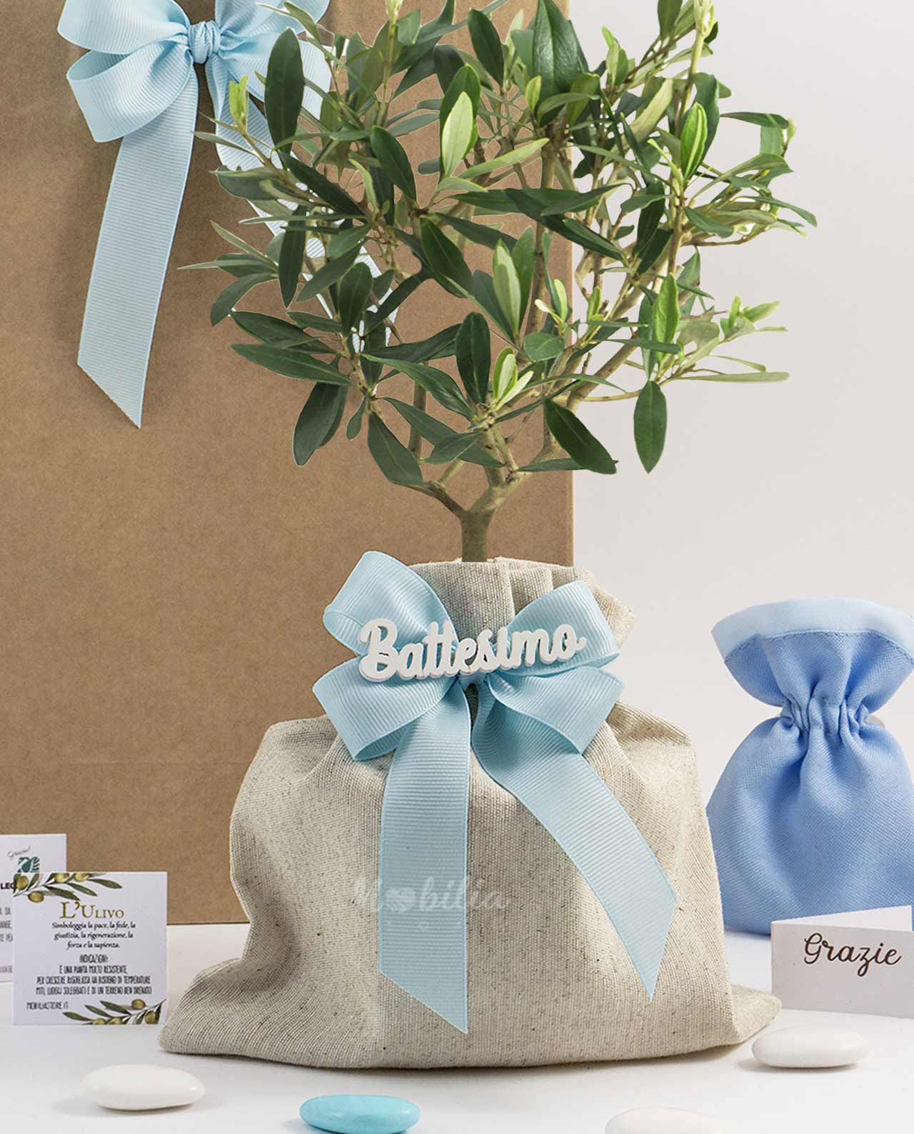Bomboniera Legambiente piantina di Ulivo D 10 cm saccoccio fiocco azzurro e scritta personalizzata