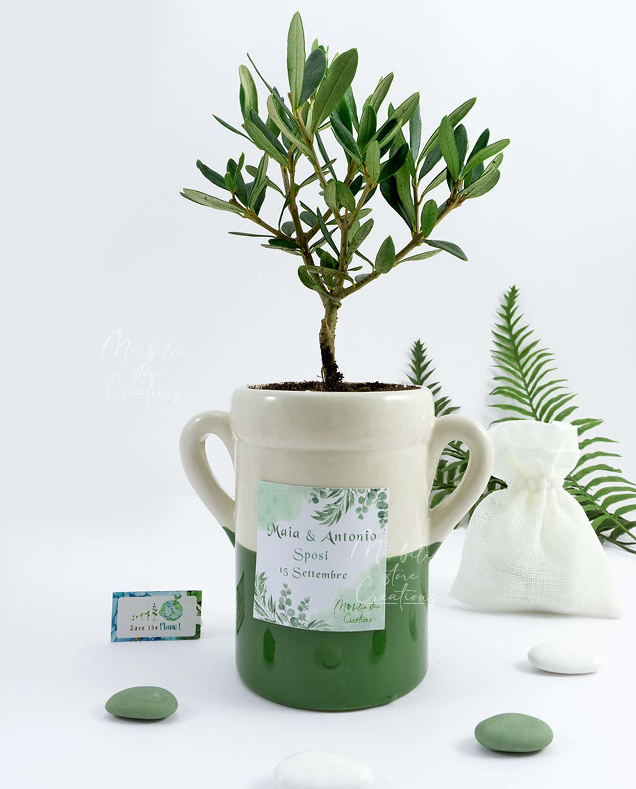 Bomboniera piantina di ulivo D 10 cm con orcio e etichetta personalizzata