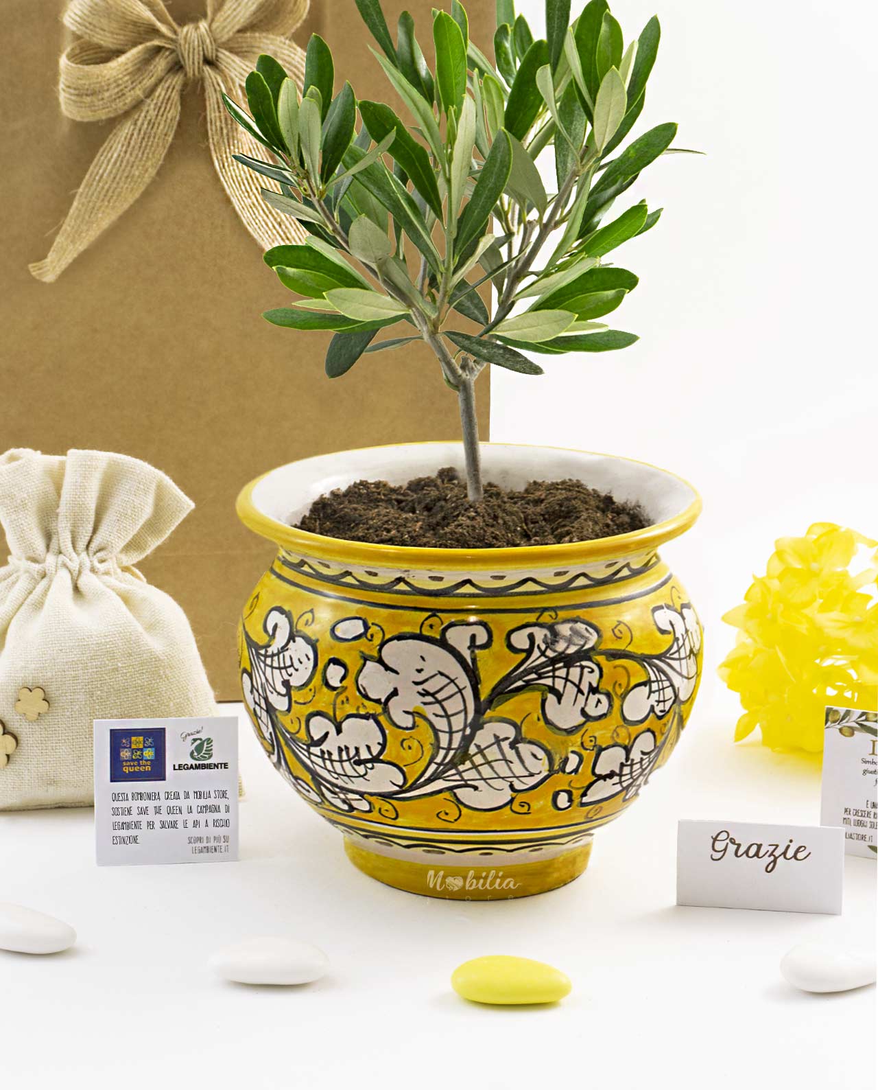 Bomboniera Legambiente piantina di Ulivo D 10 cm con vaso in ceramica artigianale e bag