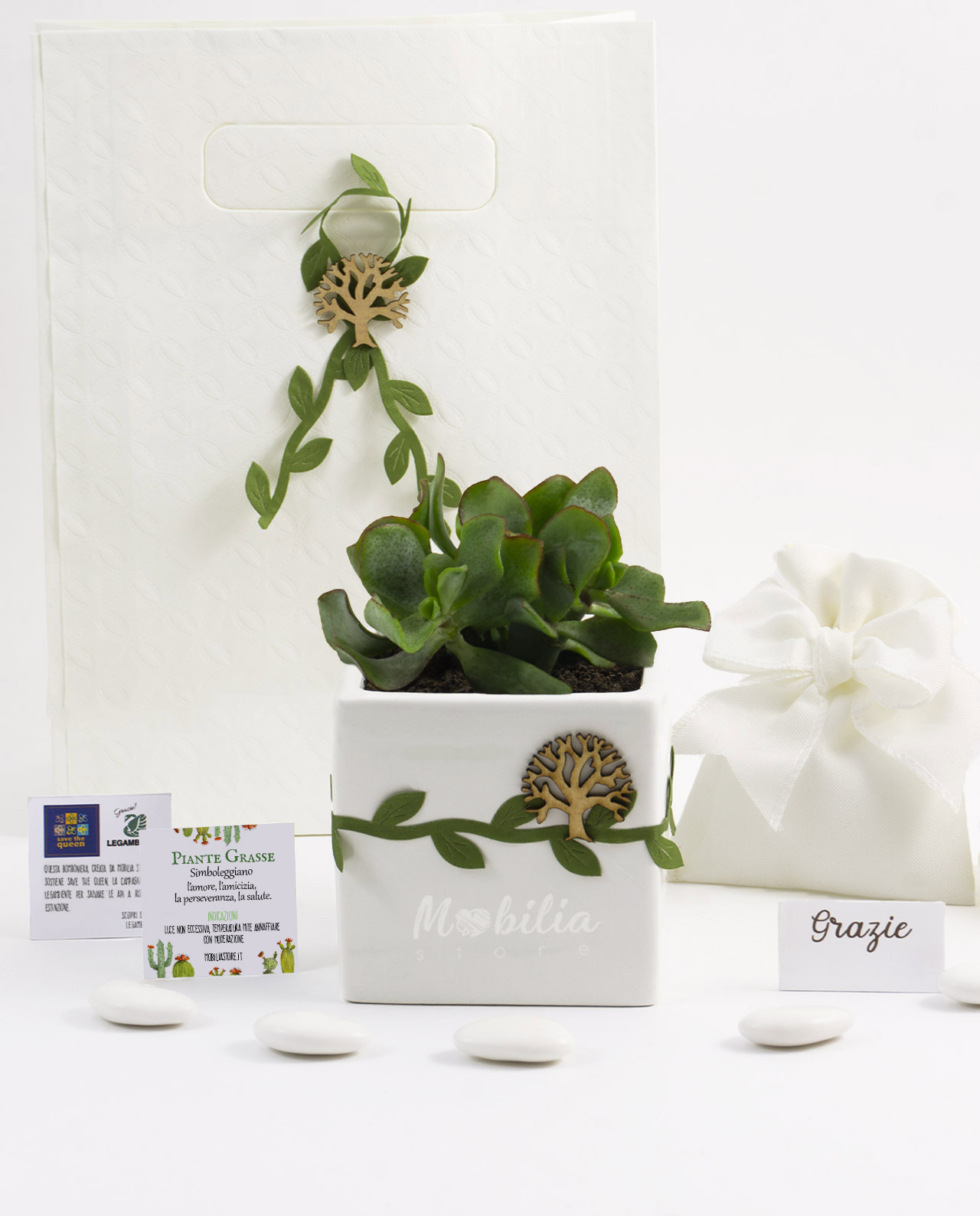 Bomboniera Legambiente pianta grassa e vaso in ceramica bianca con nastro verde