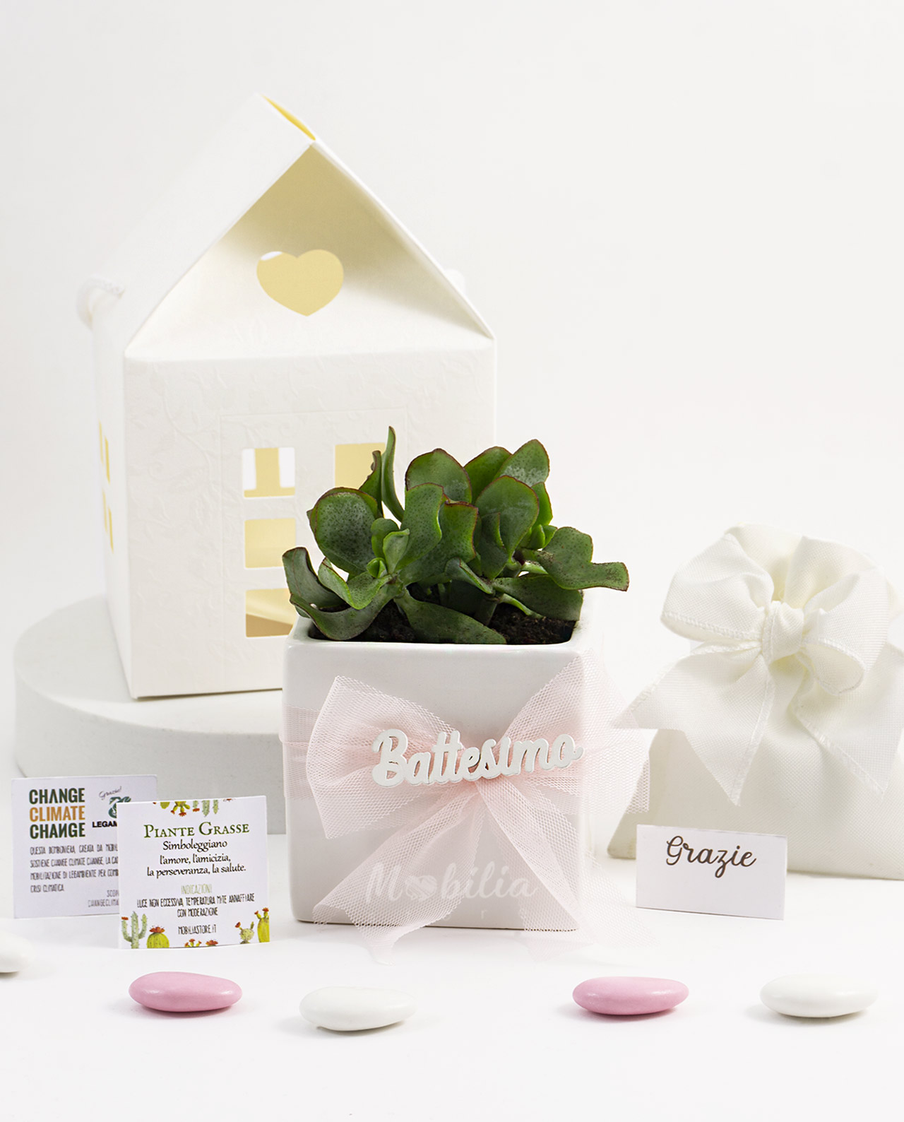 Bomboniera Legambiente pianta grassa e vaso in ceramica bianca con scritta personalizzata e fiocco rosa