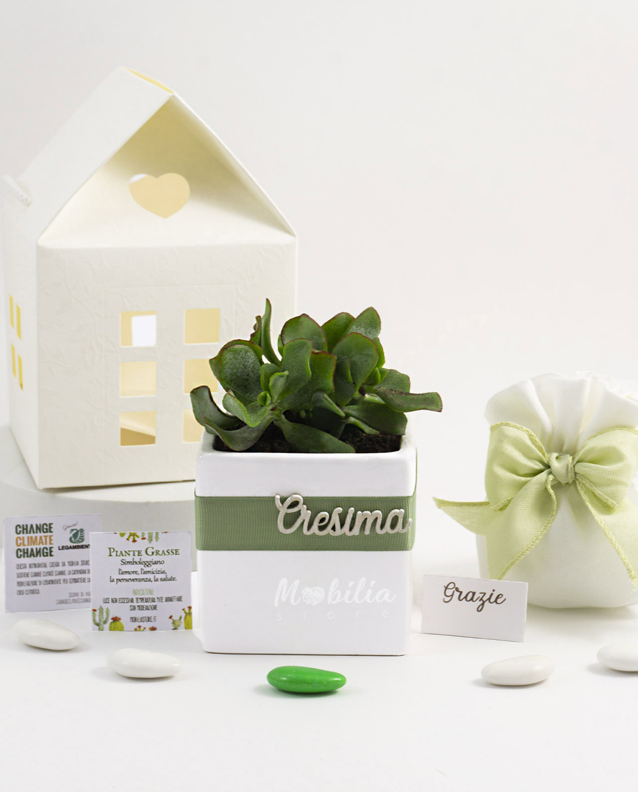 Bomboniera Legambiente pianta grassa e vaso in ceramica bianca con scritta cresima