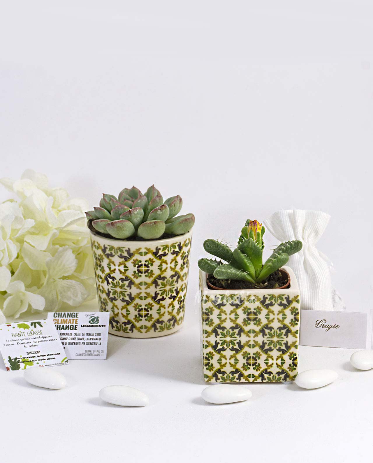 Bomboniera Legambiente pianta grassa con vaso in ceramica maiolica verde