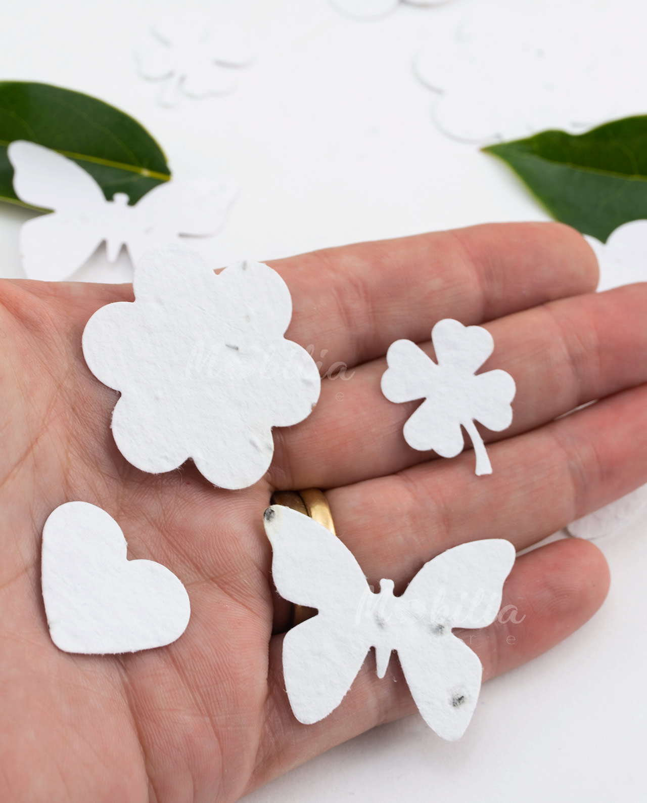 Coriandoli in carta piantabile forme e semi assortiti