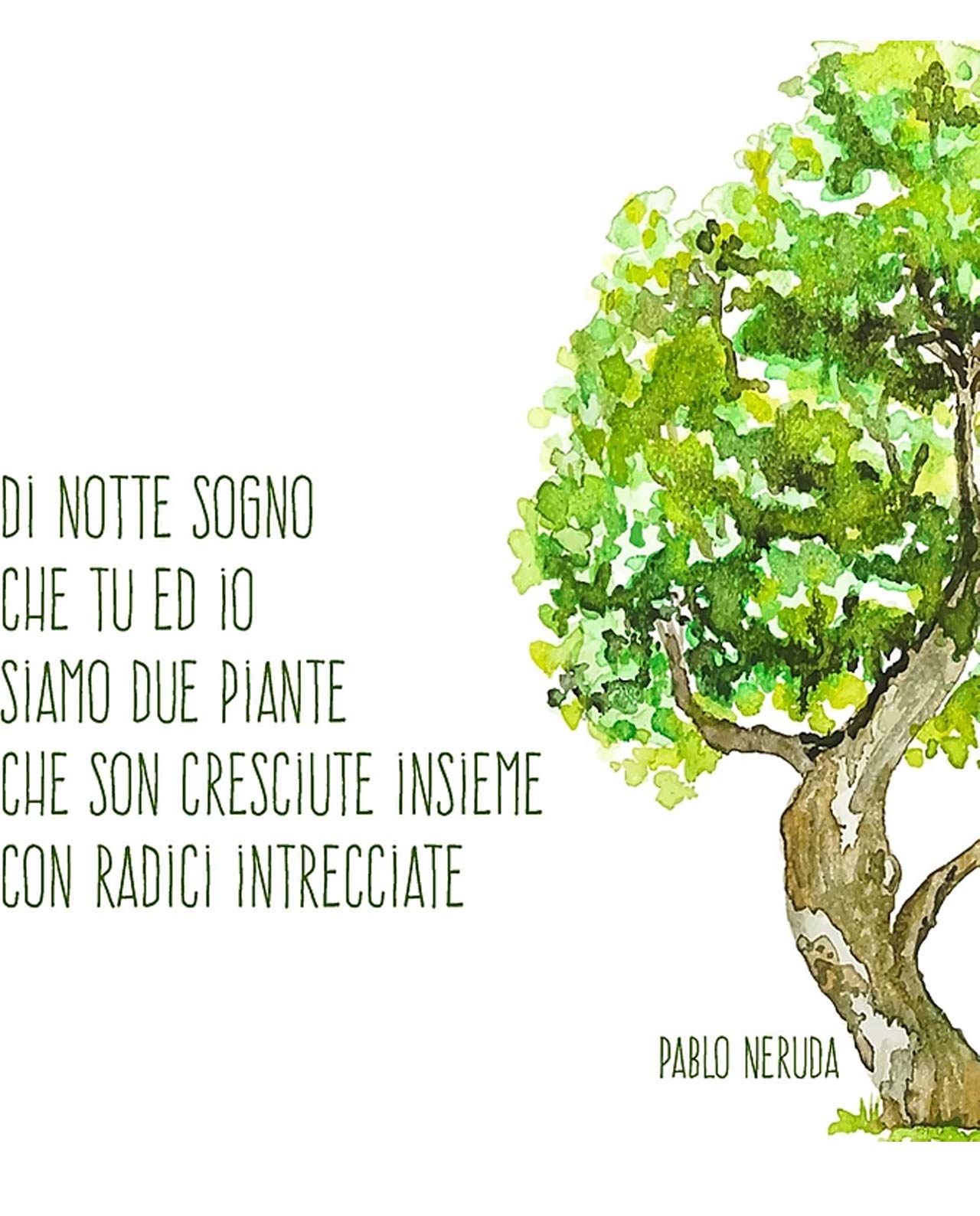 Partecipazione carta da piantare modello Inverno - immagine 13