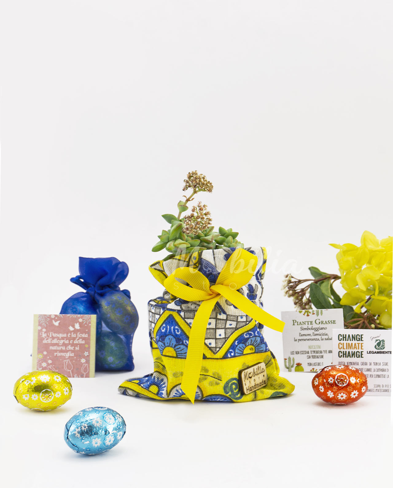 Piantina grassa Legambiente dono di Pasqua, portavaso artistico maiolica