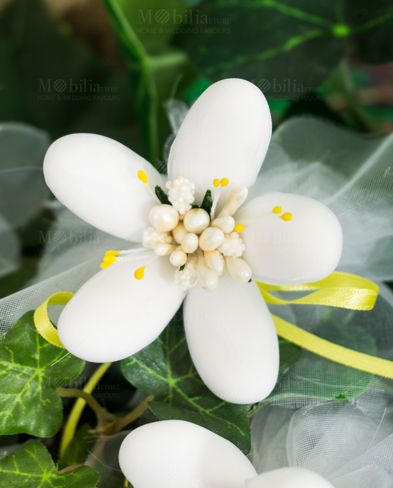 fiore di sulmona bianco con nastro raso giallo