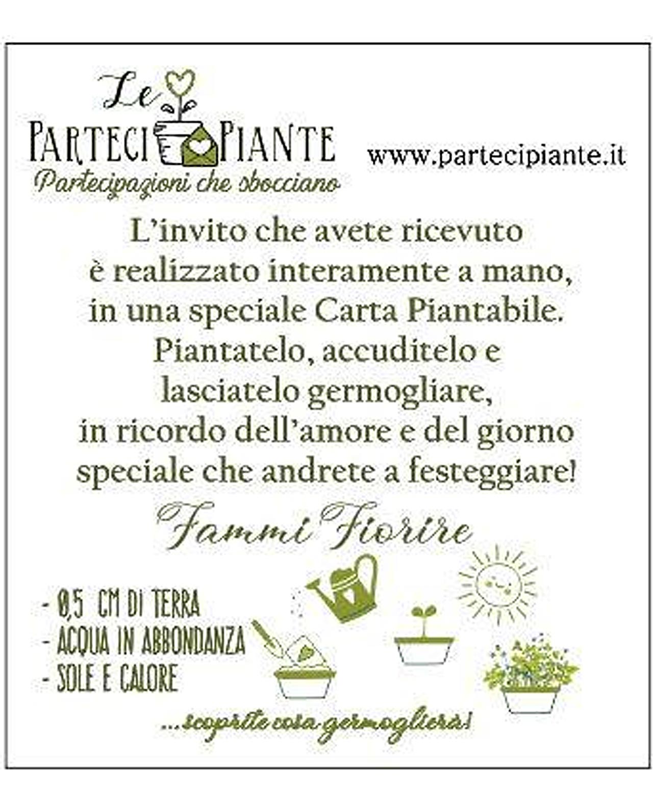 Partecipazione carta da piantare modello Cactus - immagine 19