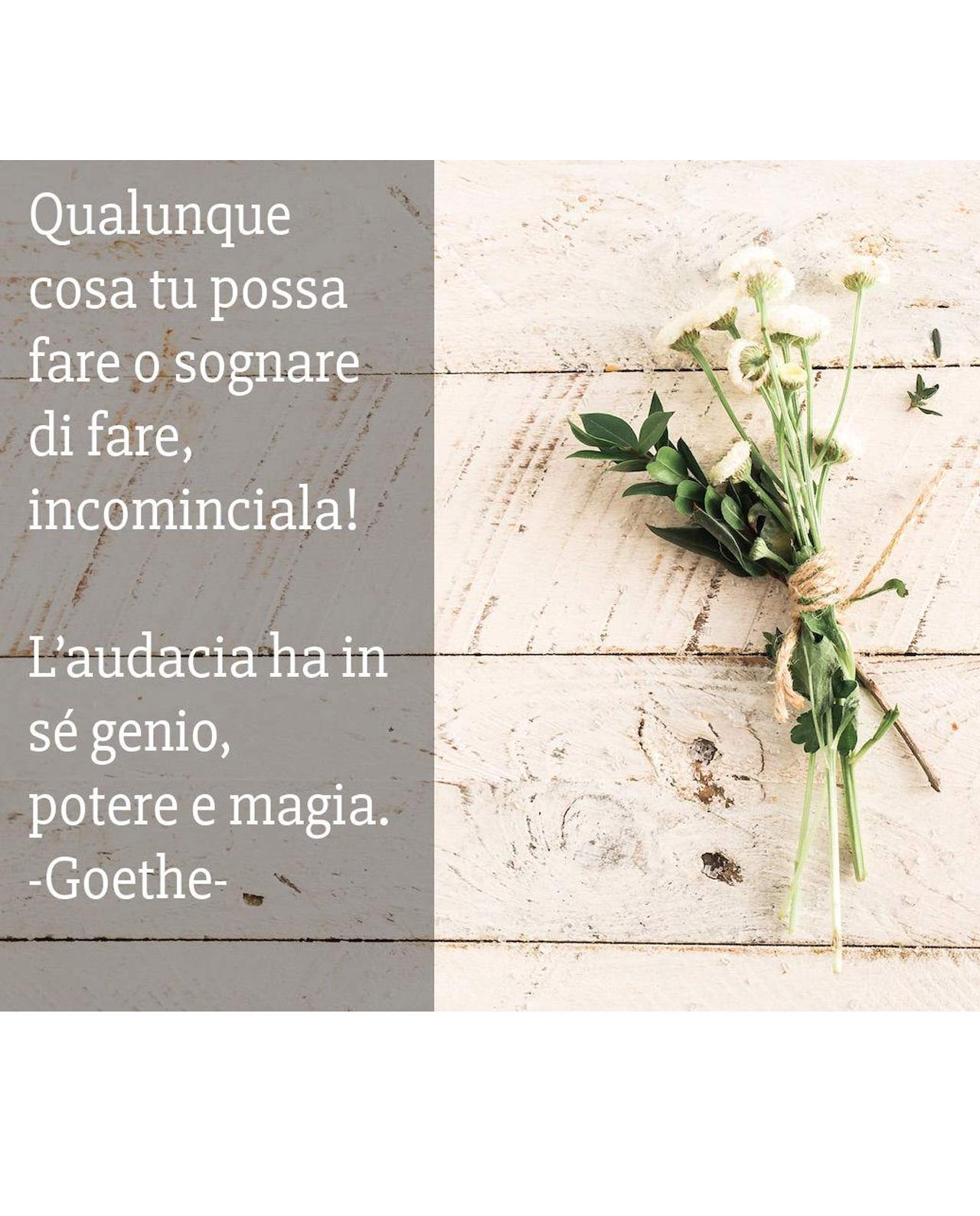 Partecipazione carta da piantare modello Inverno - immagine 9