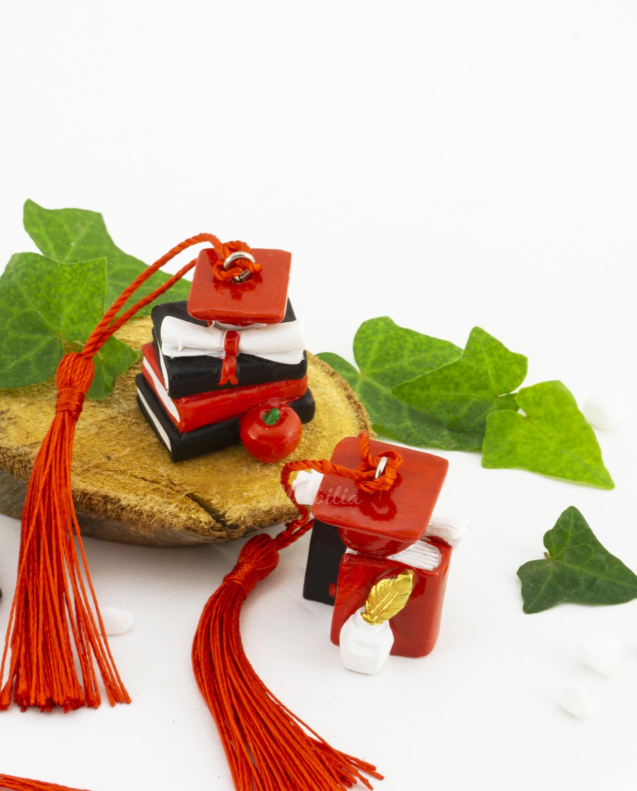 Libri con tocco e nappina rossa assortiti - immagine 2