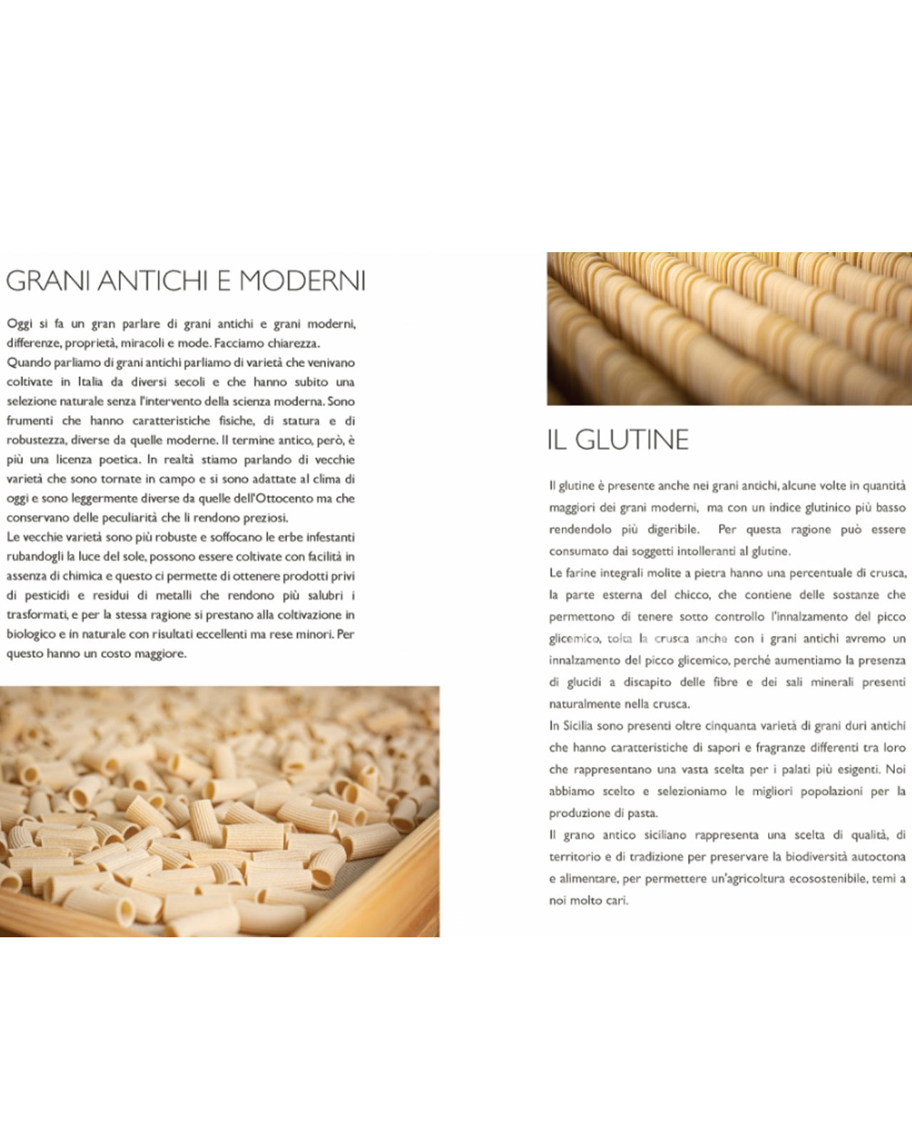 Bomboniera Legambiente pasta di grani antichi siciliani con ciotola in porcellana - immagine 15
