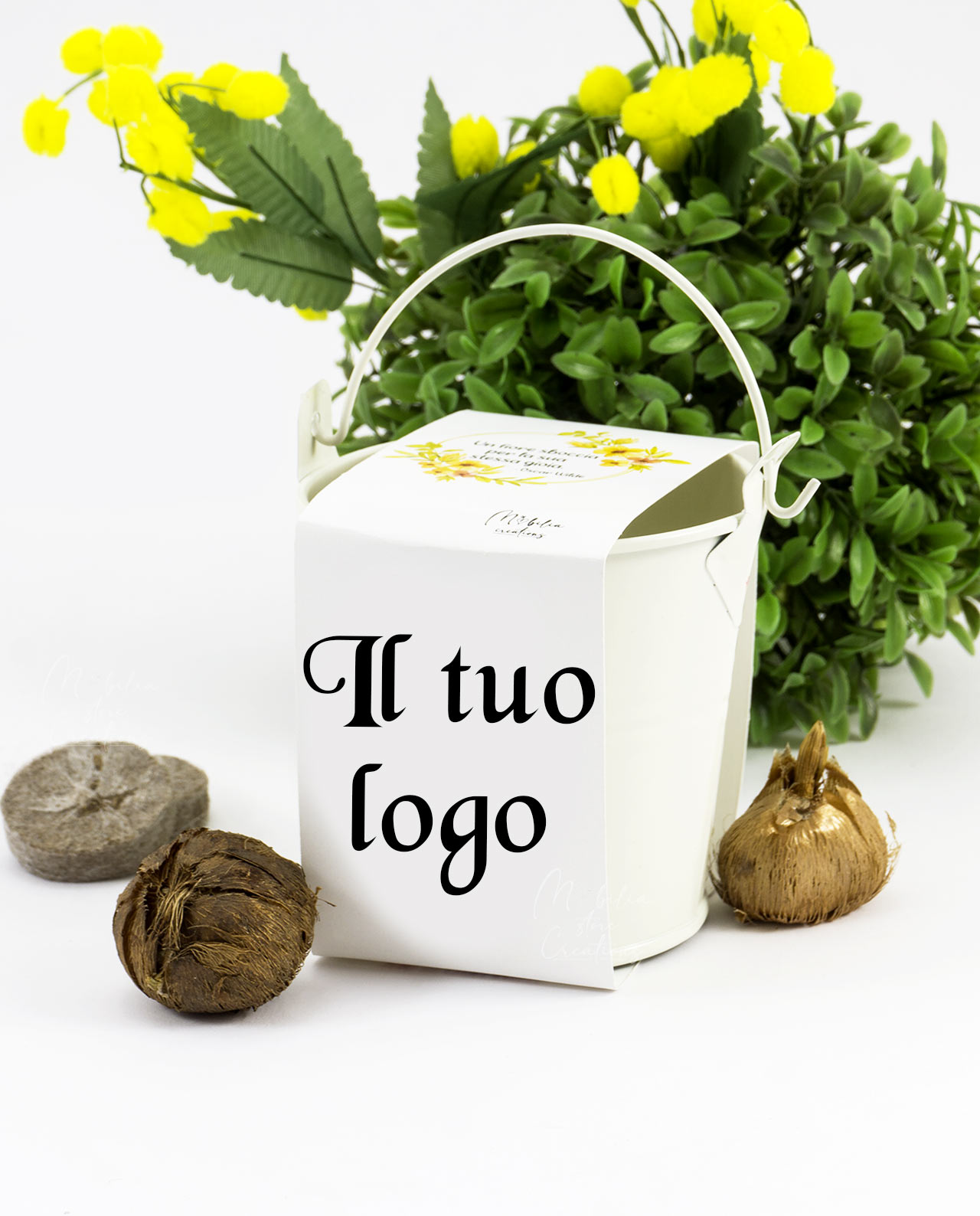 Terrario secchiello con bulbi di fiori idea regalo aziendale