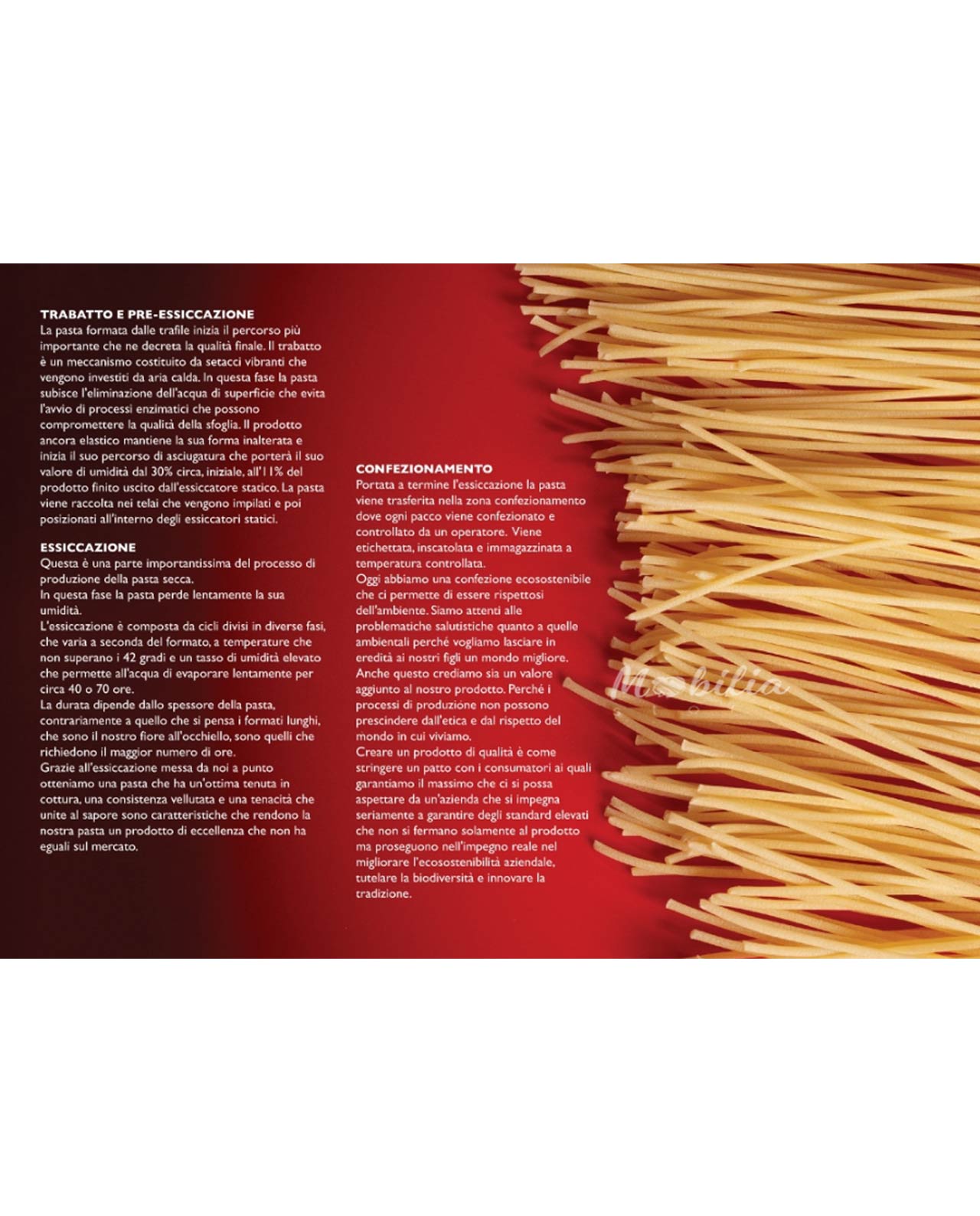 Bomboniera Legambiente pasta di grani antichi siciliani con ciotola in porcellana - immagine 17
