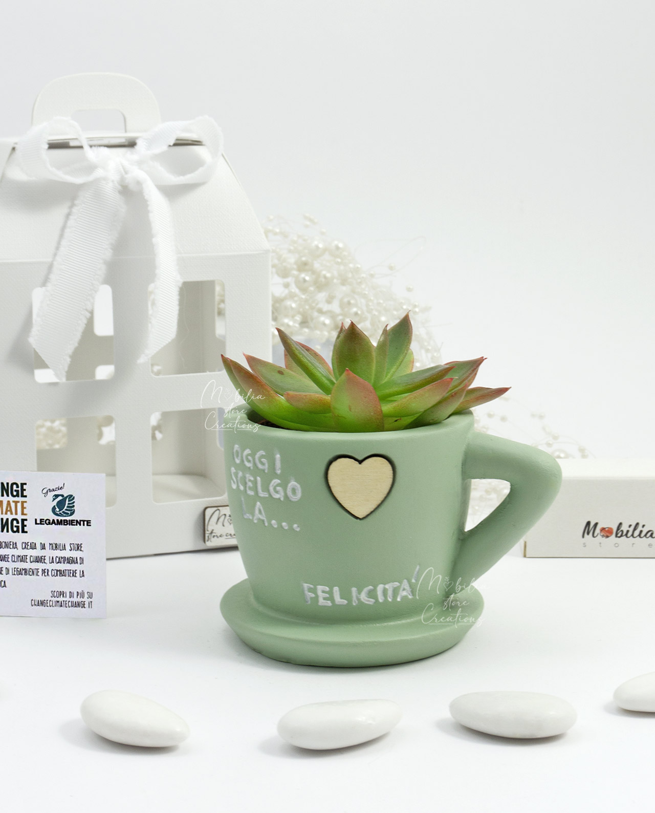 Bomboniera Legambiente pianta grassa con tazza assortita