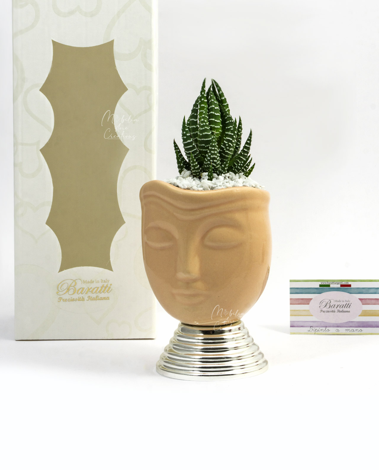 Vaso scultura viso basso pesca con pianta grassa
